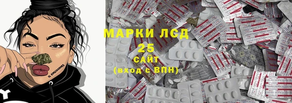 apvp Кукмор
